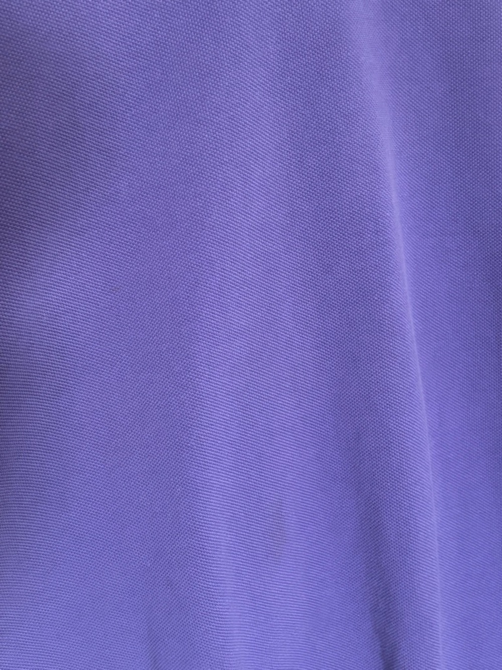 Ralph Lauren Purple Polo with Green Pony Embroidery - Picture 12 of 16